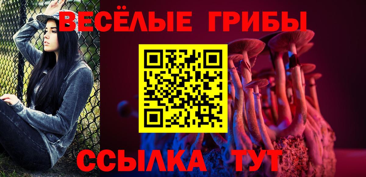 Прокопьевск  Псилоцибиновые грибы Psilocybine cubensis  Вход с VPN  Псилоцибиновые грибы MAGIC MUSHROOMS 