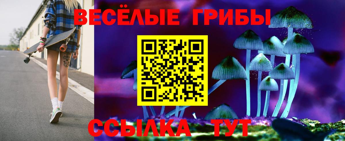 Галлюциногенные грибы Psilocybine cubensis Прокопьевск